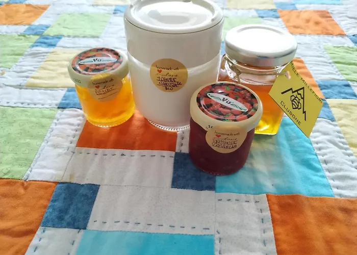 לינה וארוחת בוקר Mountain Holidays